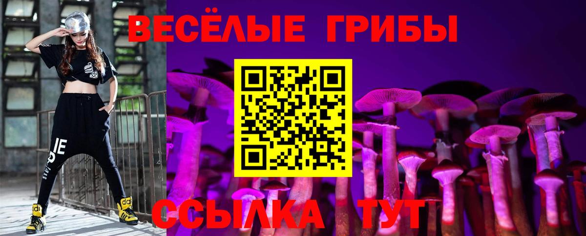 Галлюциногенные грибы мицелий  Вход с VPN  Галлюциногенные грибы GOLDEN TEACHER  Майкоп 